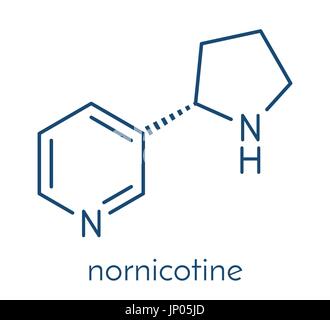 Nornicotine-Alkaloid-Molekül. Im Zusammenhang mit Nikotin und auch bei Nicotiana Pflanzen. Skelettformel. Stock Vektor