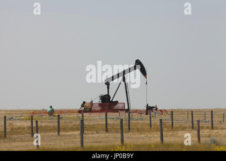 Bohrinsel im Feld Alberta, Kanada. Öl-Pumpe in der Prärie. Stockfoto