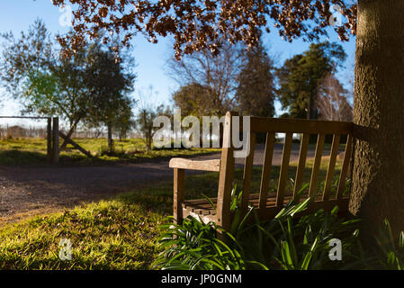 Eine leere Garten Sitz Aalen in der späten Nachmittagssonne an einem Wintertag in Orange NSW auf einem historischen Anwesen Stockfoto