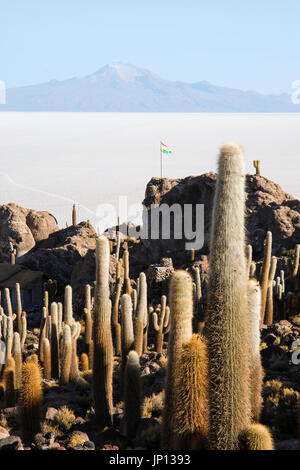 Isla del Pescado (Fisch-Insel), die Salzwüste Uyuni, Bolivien, Südamerika Stockfoto
