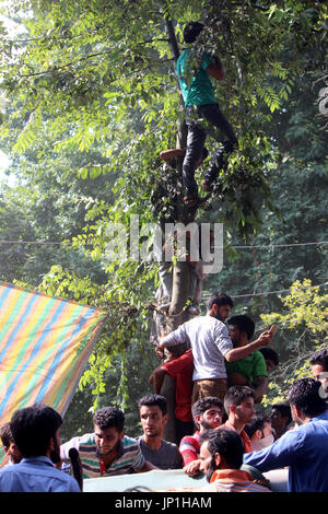 Anantnag, Indien. 30. Juli 2017. Menschen klettern auf einen Baum beobachten Beerdigung ein Kashmiri Rebel Shabir Ahmad Mir @ Zeeshan an Mahind Bijbehara Dorf Anantnag District, 68 Km von Srinagar, wurde Mir zusammen mit einer anderen Mitarbeiterin Shakir Ah in eine Schießerei mit den Kräften in Tahab Pulwama getötet. Bildnachweis: Muneeb Ul Islam/Pacific Press/Alamy Live-Nachrichten Stockfoto