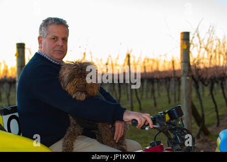 Ein Mann und sein Hund, mit dem Quad Fahrrad in einen Weinberg in der Dämmerung, Sonnenuntergang im westlichen NSW, Australien Stockfoto