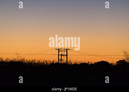 Strommasten und Linien Silhouette gegen ein helles orange Sonnenuntergang in westlichen NSW, Australien Stockfoto