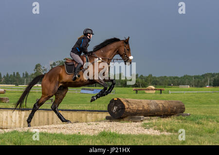 Reiterin auf einem jungen Wallach Pferd vorbereiten, ein Protokoll während der Reiter springen Training an einem Sommertag in einer Wiese zu springen. Stockfoto