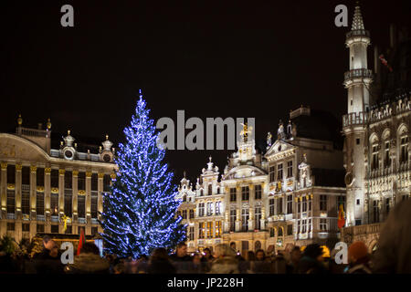 Brüssel, Belgien - 8. Dezember 2013: Weihnachtsbaum, Dekorationen und Lichter in der Nacht in der Grande Place Brüssel, Belgien Stockfoto