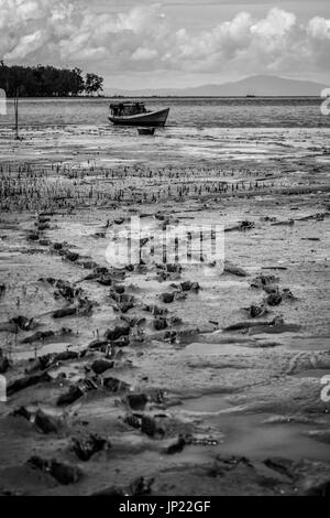 WEST-PAPUA LANDSCHAFT UND MENSCH UND GESELLSCHAFT Stockfoto