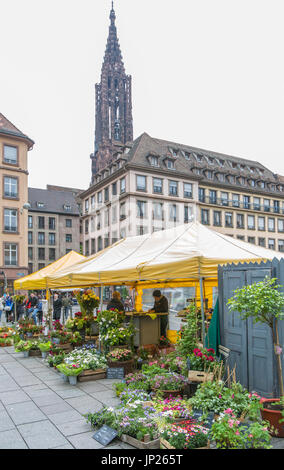 Straßburg, Elsass, Frankreich - 3. Mai 2014: Blumenmarkt in Straßburg, Frankreich, mit der Kathedrale Notre Dame de Strasbourg hinter. Stockfoto