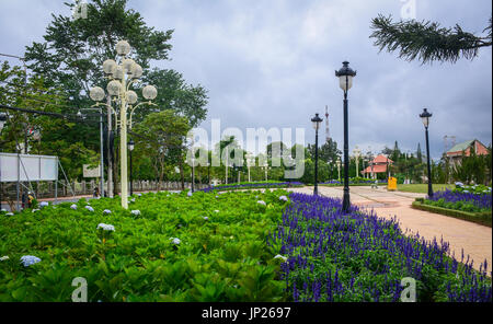 Blick auf Lam Vien Park mit vielen violetten Blüten in Dalat, Vietnam. Stockfoto