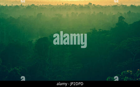 WEST-PAPUA LANDSCHAFT UND MENSCH UND GESELLSCHAFT Stockfoto