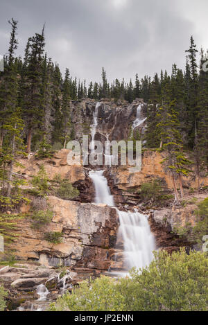 Gewirr verliebt sich in Jasper Nationalpark, Alberta, Kanada Stockfoto