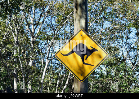 Verkehrszeichen in Australien Warnung von Kängurus hüten Stockfoto