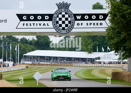 Goodwood Festival of Speed 2017 - Tag 1 - Goodwood Hillclimb mit: Mercedes-Benz AMG GTR wo: Chichester, Großbritannien bei: Kredit-29. Juni 2017: Michael Wright/WENN.com Stockfoto