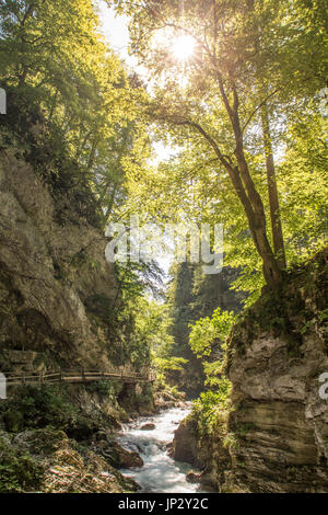 Die fabelhafte Vintgar-Schlucht in Slowenien in der Nähe von Bled See Stockfoto