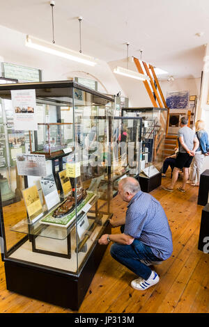 Interieur von Ramsgate Hafen maritime Museum. Evakuierung von Dünkirchen Display mit kaukasischen Mann kniete eine der Anzeigen im Glaskasten zu studieren. Stockfoto