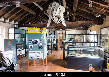 Innenraum der oberen Etage des Ramsgate Hafen maritime Museum. Verschiedene Vitrinen mit Wal Schädel hängen von den Sparren des Daches. Stockfoto