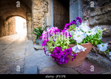 Weiß und Magenta Blumen in Peratallada. Es ist eine malerische mittelalterliche Altstadt im Herzen der Costa Brava, Katalonien, Spanien. Stockfoto