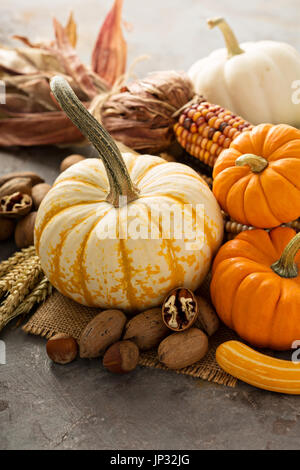 Herbst-Stilleben mit Kürbis, Nüssen, Weizen und Mais Stockfoto