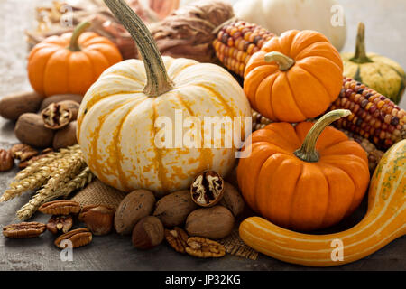 Herbst-Stilleben mit Kürbis, Nüssen, Weizen und Mais Stockfoto