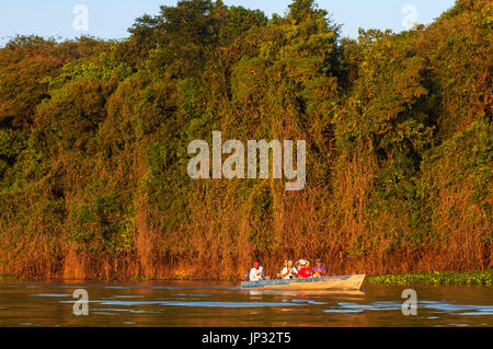 Touristen auf der Suche nach Jaguare auf Boot Safaris in Cuiabá Fluss, Pantanal von Mato Grosso, Brasilien Stockfoto