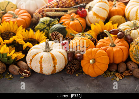 Herbst-Stilleben mit Kürbis, Nüssen, Weizen und Mais Stockfoto