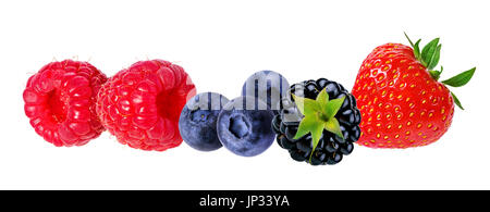 Beeren-Sammlung. Himbeere, Heidelbeere, Johannisbeere, Brombeere, Erdbeere, isoliert auf weiss. Stockfoto