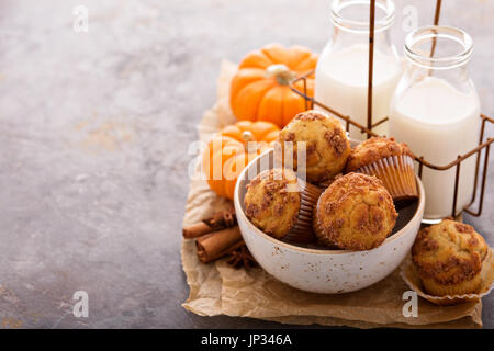 Kürbis-Muffins mit Milch in Flaschen fallen Stockfoto