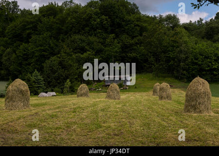 Haye Ballen auf einer Wiese Stockfoto