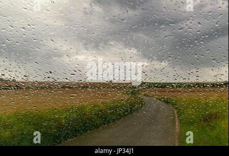 Regentropfen auf Fenster und Gold Feld Hintergrund Stockfoto