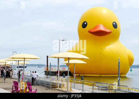 Die weltweit größte Rubber Duck machen es ist kanadische Debüt auf Toronto Ufergegend, Kanada feiern 150. Geburtstag.  Mitwirkende: Rubber Duck wo: Toronto, Ontario, Kanada bei: Kredit-30. Juni 2017: Dominic Chan/WENN.com Stockfoto