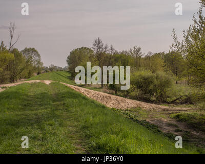 Eine Flut Bank entlang der Weichsel in der Nähe von Karczew Stockfoto