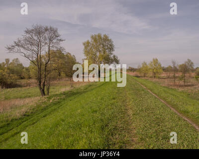 Eine Flut Bank entlang der Weichsel in der Nähe von Karczew Stockfoto