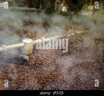 Kaffeebohnen Kühlung von röster Stockfoto