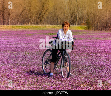 Applying Frau Radfahrer stützte sich auf ihr Fahrrad in der Mitte ein Feld mit lila Wildblumen bedeckt; Missouri, Midwest Stockfoto