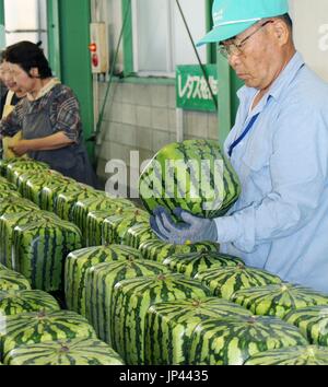 Quadratische Wassermelonen in Japan