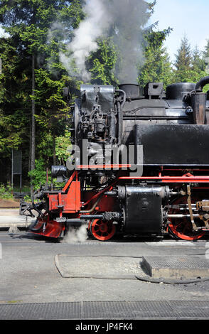 99 7238-1 bei Drei Annen Hohne mit einem Zug für die Brocken, die Harzer Schmalspurbahnen. Stockfoto