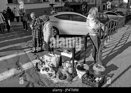 Czernowitz, die Stadt in der Westukraine, Bukowina. Stockfoto