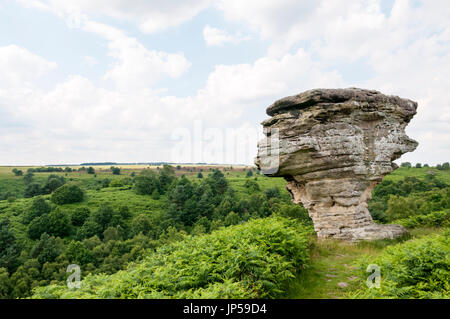 Pepperpot, eines niedrigen Bridestones auf die North York Moors ist aus erodierten Jurassic Sedimentgestein hinterlegt vor 150 Millionen Jahren gebildet. Stockfoto