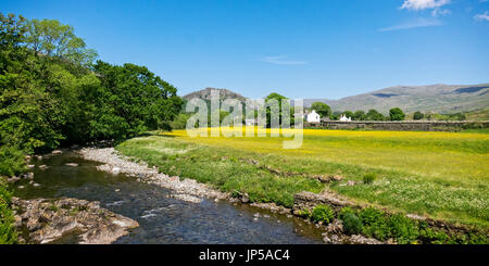 Die Butterblumenwiese, Hall Dunnerdale, Cumbria, England Stockfoto