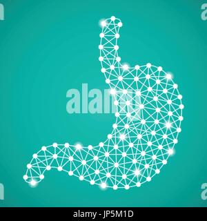Menschlichen Magen isoliert auf einem grünen Hintergrund. Vektor-Illustration. Stock Vektor