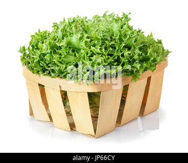 grüner Salat in Korb Stockfoto