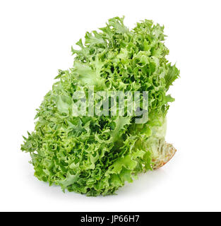 grüner Salat, isoliert auf weiss Stockfoto