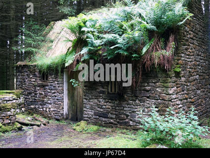 Verlassene alte Ruine verfallenes Steinhaus im Wald gebaut Stockfoto