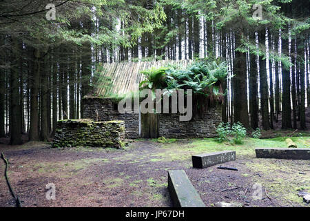 Verlassene alte Ruine verfallenes Steinhaus im Wald gebaut Stockfoto