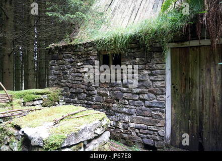 Verlassene alte Ruine verfallenes Steinhaus im Wald gebaut Stockfoto