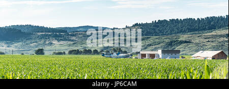 Landschaft auf Campulung - moeciu - Bran - Brasov, Rumänien Stockfoto