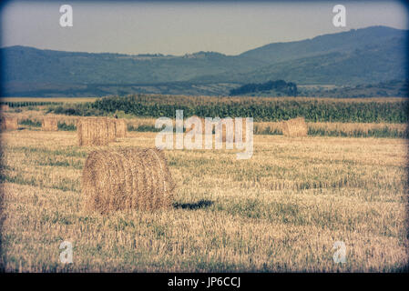Heuhaufen auf dem Land - Brasov, Rumänien Stockfoto
