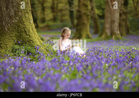 Ein kleines Mädchen genießt ein Buch unter die Glockenblumen in Wäldern in der Nähe von Honiton, Devon, UK Stockfoto