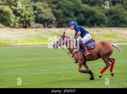 Leadenham Poloclub, Lincolnshire, England - ein Polospiel an einem Schuss Sommer Nachmittag gespielt wird Stockfoto