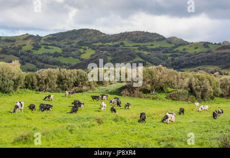 Spanien-Balearen Insel Menorca, Stockfoto