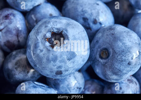 Extreme Nahaufnahme Bild von Reife und frische Blaubeeren, geringe Schärfentiefe. Stockfoto